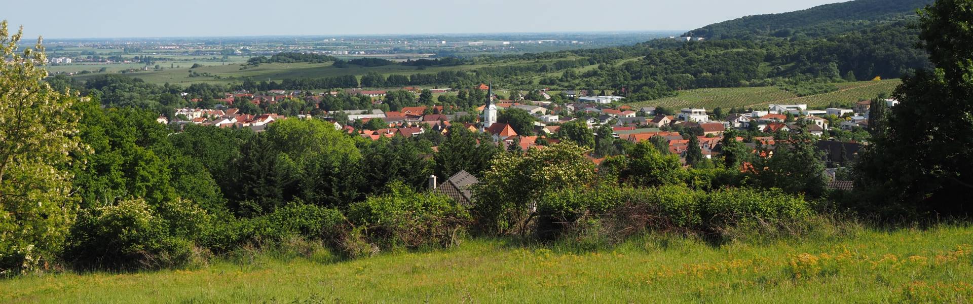 Pozemky Limbach